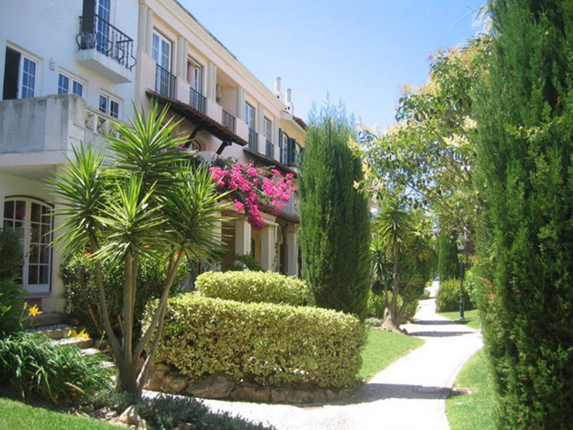The Old Village